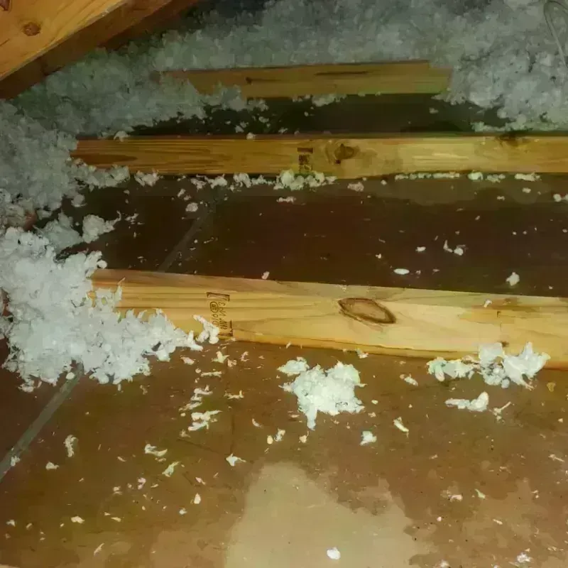 Attic Water Damage in Cut and Shoot, TX