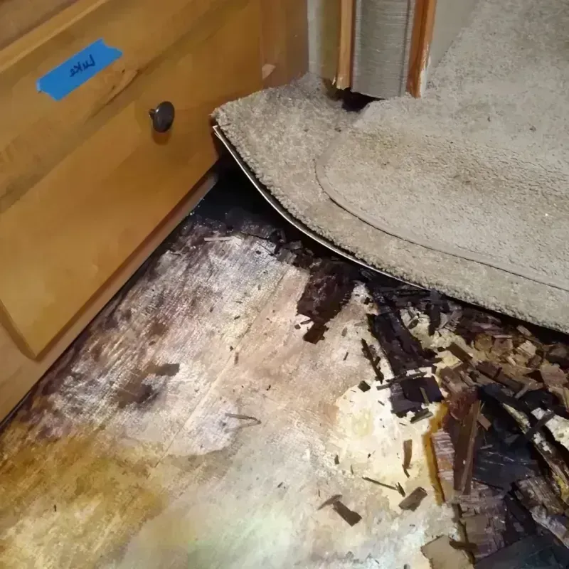 Wood Floor Water Damage in Cut and Shoot, TX